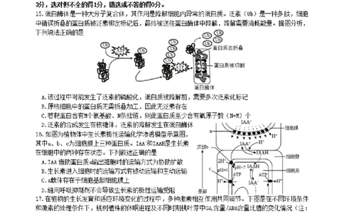 2024届高三夏令营学习能力测试生物试题_2023年8月_01每日更新_18号_2024届江苏省华罗庚中学高三上学期暑期夏令营学习能力测试