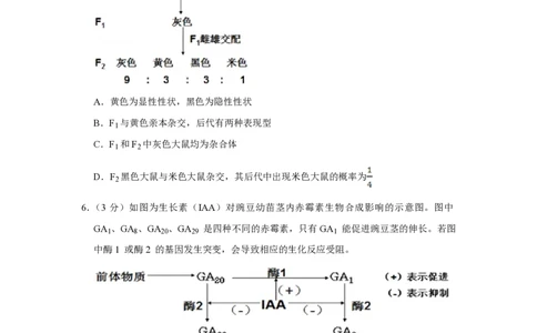 2013年高考生物试卷（天津）（空白卷）_生物历年高考真题_新&middot;PDF版2008-2025&middot;高考生物真题_生物（按省份分类）2008-2025_2008-2024&middot;（天津）生物高考真题