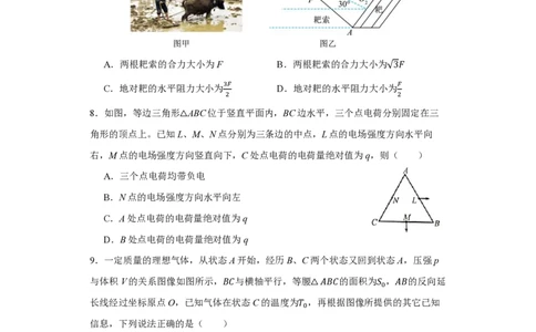 11_2024湖南卷点睛押题_2024高考押题卷_132024高途全系列_26高途点睛卷_2024点睛密卷-物理