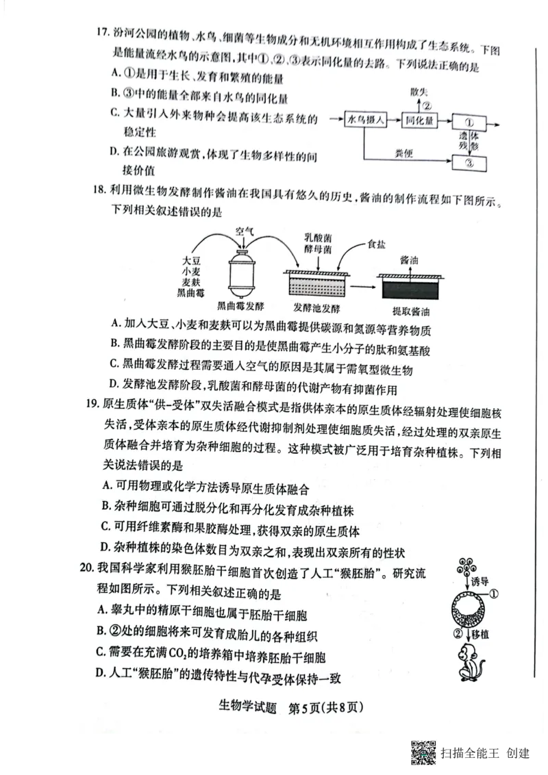 山西省大同市2023-2024学年高三上学期10月月考生物试题(1)_2023年10月_0210月合集_2024届山西省大同市高三上学期10月月考_山西省大同市2024届高三上学期10月月考生物