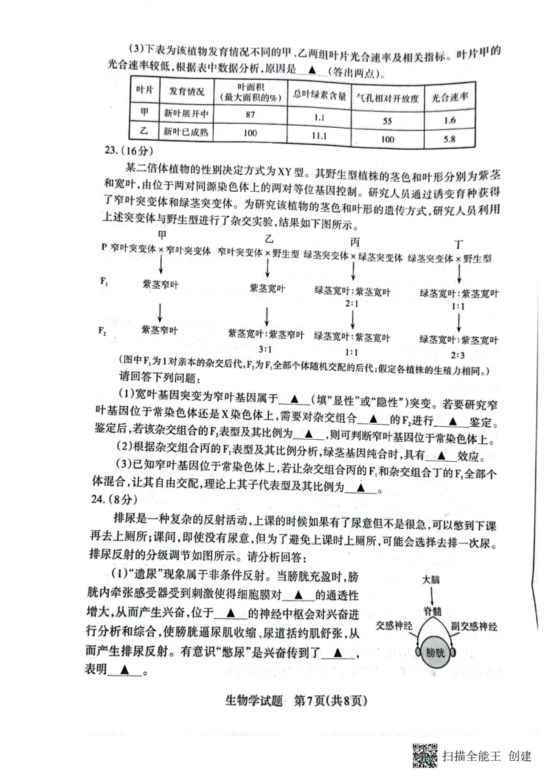 山西省大同市2023-2024学年高三上学期10月月考生物试题(1)_2023年10月_0210月合集_2024届山西省大同市高三上学期10月月考_山西省大同市2024届高三上学期10月月考生物