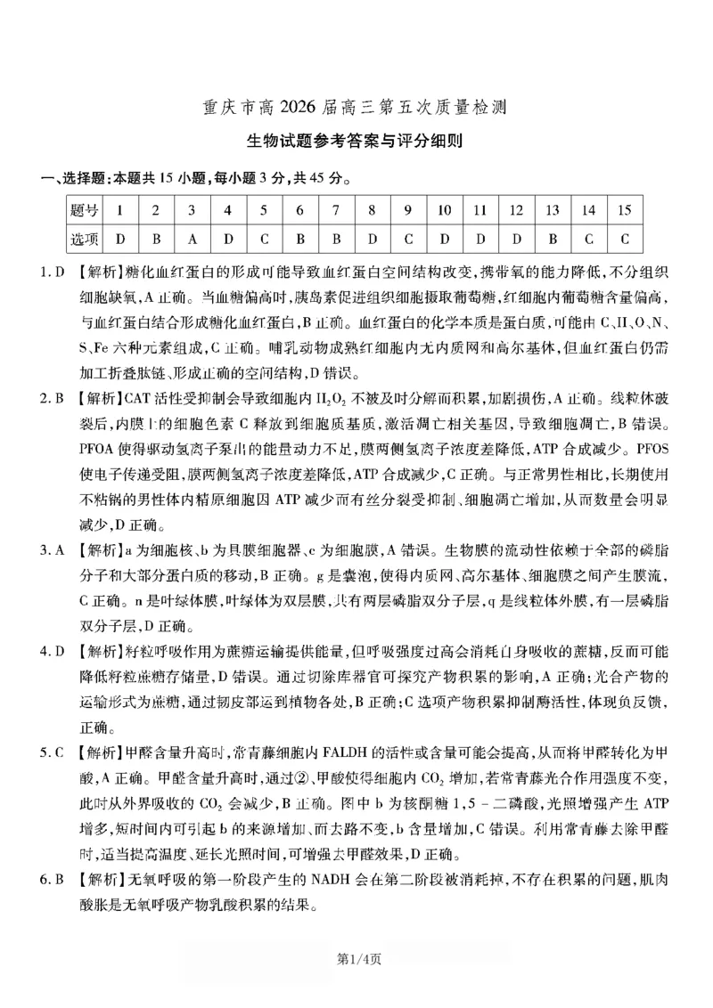 生物南开中学2026届高三第五次质量检测答案(1)_2026年1月_260105重庆市南开中学2026届高三第五次质量检测（全科）