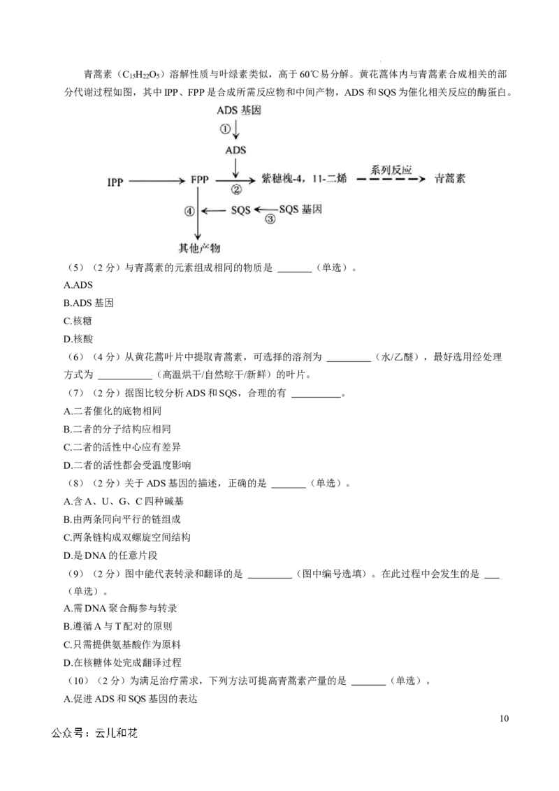 高一生物第一次月考卷（全解全析）（上海专用）_1多考区联考试卷_0922黄金卷：2024-2025学年高一上学期第一次月考9科word解析版含答题卡（上海专用）