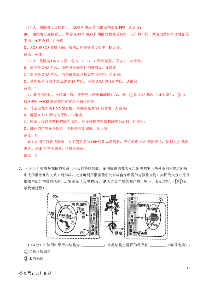 高一生物第一次月考卷（全解全析）（上海专用）_1多考区联考试卷_0922黄金卷：2024-2025学年高一上学期第一次月考9科word解析版含答题卡（上海专用）