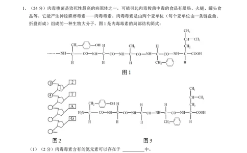 高一生物第一次月考卷（全解全析）（上海专用）_1多考区联考试卷_0922黄金卷：2024-2025学年高一上学期第一次月考9科word解析版含答题卡（上海专用）