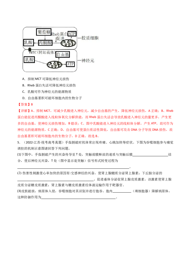 专题20动物生命活动调节的综合（解析卷）_近10年高考真题汇编（必刷）_十年（2014-2024）高考生物真题分项汇编（全国通用）_十年（2014-2023）高考生物真题分项汇编（全国通用）