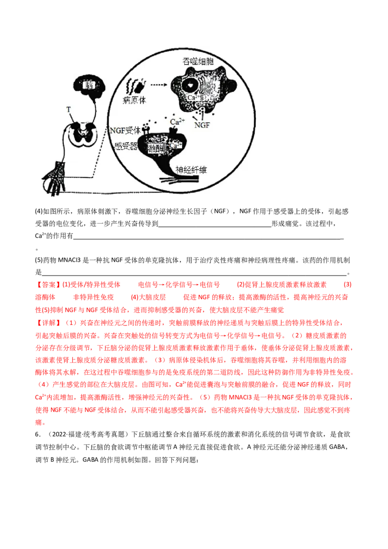 专题20动物生命活动调节的综合（解析卷）_近10年高考真题汇编（必刷）_十年（2014-2024）高考生物真题分项汇编（全国通用）_十年（2014-2023）高考生物真题分项汇编（全国通用）