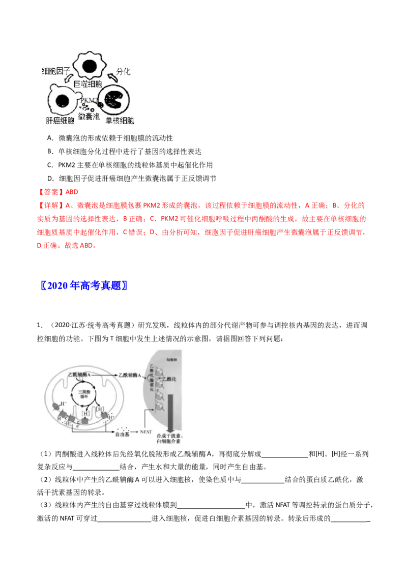 专题20动物生命活动调节的综合（解析卷）_近10年高考真题汇编（必刷）_十年（2014-2024）高考生物真题分项汇编（全国通用）_十年（2014-2023）高考生物真题分项汇编（全国通用）