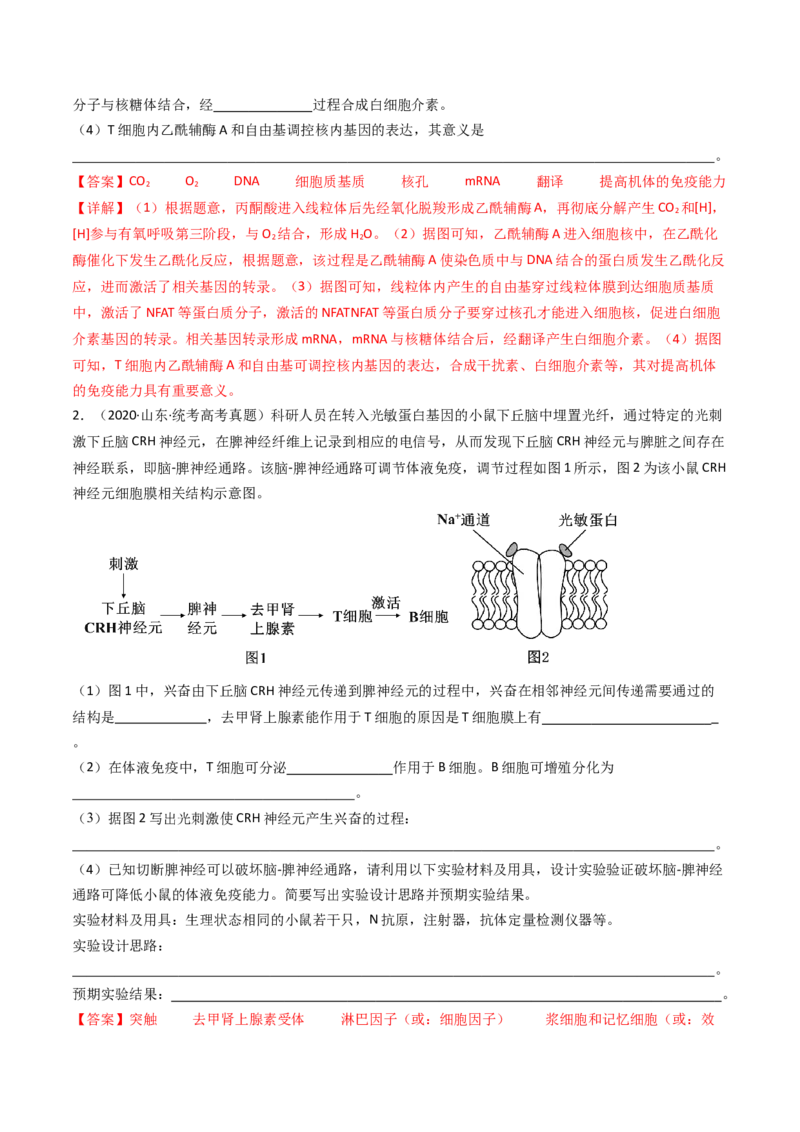 专题20动物生命活动调节的综合（解析卷）_近10年高考真题汇编（必刷）_十年（2014-2024）高考生物真题分项汇编（全国通用）_十年（2014-2023）高考生物真题分项汇编（全国通用）