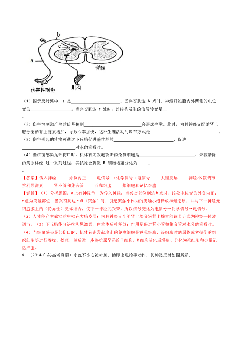 专题20动物生命活动调节的综合（解析卷）_近10年高考真题汇编（必刷）_十年（2014-2024）高考生物真题分项汇编（全国通用）_十年（2014-2023）高考生物真题分项汇编（全国通用）