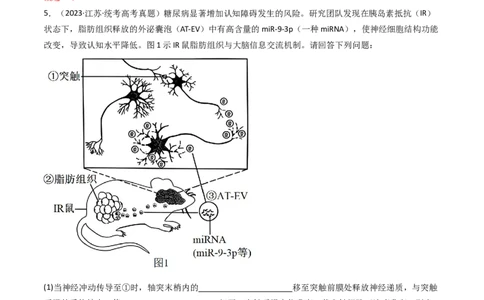 专题20动物生命活动调节的综合（解析卷）_近10年高考真题汇编（必刷）_十年（2014-2024）高考生物真题分项汇编（全国通用）_十年（2014-2023）高考生物真题分项汇编（全国通用）