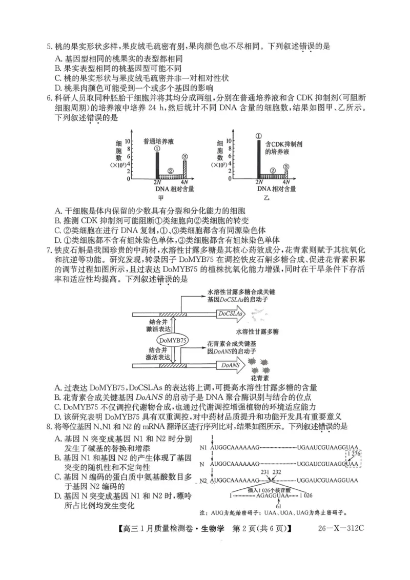 生物试卷-卓越联盟2025-2026学年高三1月质量检测（26-X-312C）(1)_2026年1月_260115山西三晋卓越联盟2025-2026学年高三1月质量检测（26-X-312C）（全科）