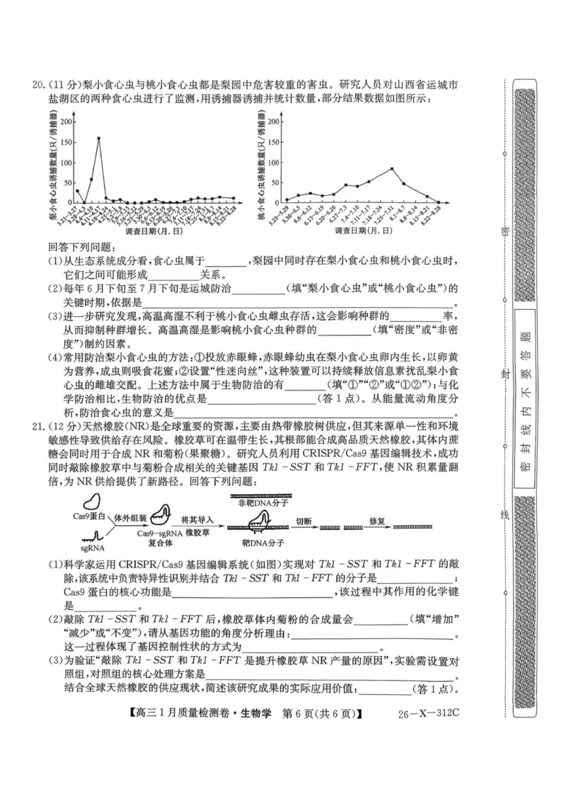 生物试卷-卓越联盟2025-2026学年高三1月质量检测（26-X-312C）(1)_2026年1月_260115山西三晋卓越联盟2025-2026学年高三1月质量检测（26-X-312C）（全科）