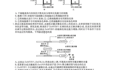 生物试卷-卓越联盟2025-2026学年高三1月质量检测（26-X-312C）(1)_2026年1月_260115山西三晋卓越联盟2025-2026学年高三1月质量检测（26-X-312C）（全科）