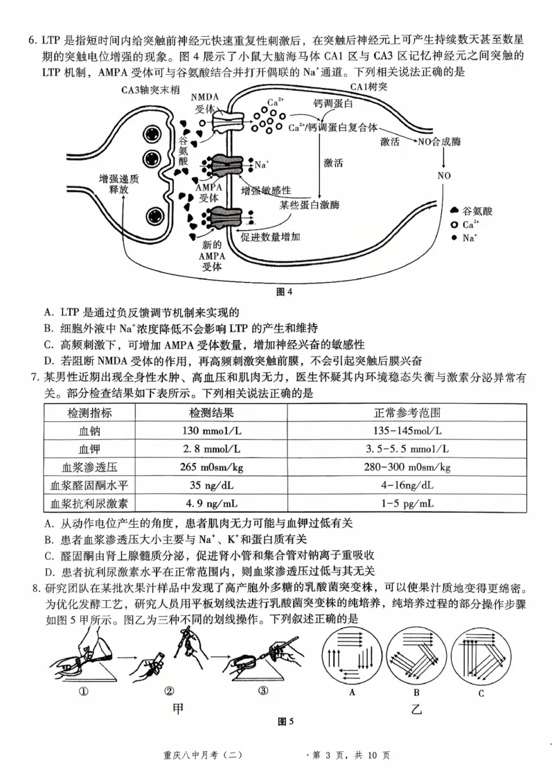 重庆八中（二）生物试卷_2025年10月_12026年试卷教辅资源等多个文件_251029重庆市第八中学2026届高考适应性月考卷（二）（全科）