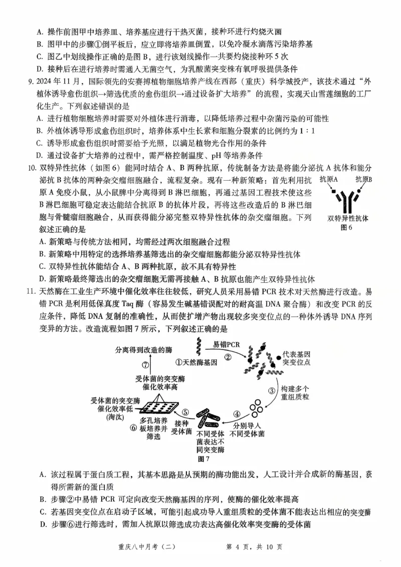 重庆八中（二）生物试卷_2025年10月_12026年试卷教辅资源等多个文件_251029重庆市第八中学2026届高考适应性月考卷（二）（全科）