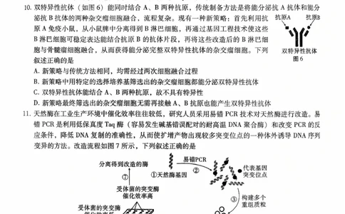 重庆八中（二）生物试卷_2025年10月_12026年试卷教辅资源等多个文件_251029重庆市第八中学2026届高考适应性月考卷（二）（全科）