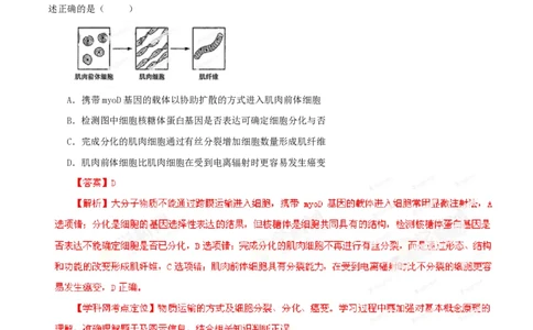 2013年高考生物试卷（山东）（解析卷）_生物历年高考真题_新&middot;PDF版2008-2025&middot;高考生物真题_生物（按年份分类）2008-2025_2013&middot;高考生物真题