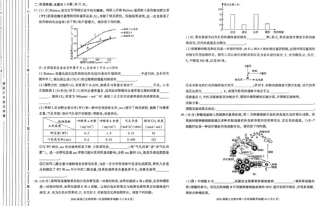 高三生物校际联考_2025年9月_250908陕西省汉中市2026届高三上学期第一次校际联考（全科）_陕西省汉中市2026届高三上学期第一次校际联考试题生物试题（含答案）