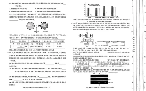 高三生物校际联考_2025年9月_250908陕西省汉中市2026届高三上学期第一次校际联考（全科）_陕西省汉中市2026届高三上学期第一次校际联考试题生物试题（含答案）