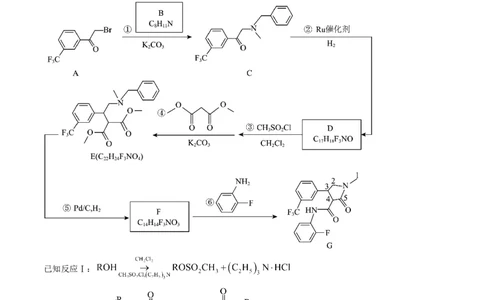 专题16有机化学基础综合题-三年（2022-2024）高考化学真题分类汇编（全国通用）（教师卷）_近10年高考真题汇编（必刷）_十年（2014-2024）高考化学真题分项汇编（全国通用）