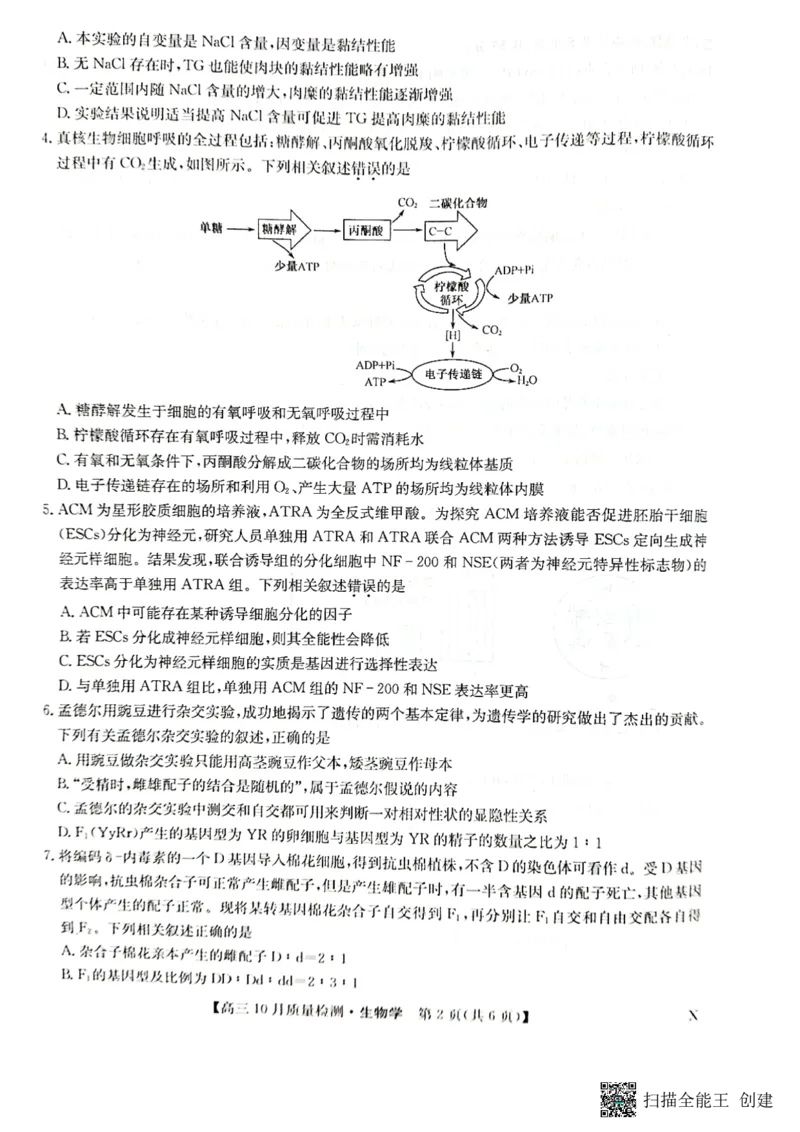 2024届河南省九师联盟10月联考高三生物试卷(1)_2023年10月_0210月合集_2024届九师联盟高三上学期10月质量检测（L）_九师联盟2024届高三上学期10月质量检测（L）生物