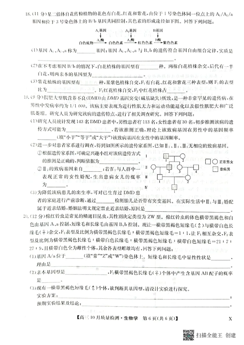 2024届河南省九师联盟10月联考高三生物试卷(1)_2023年10月_0210月合集_2024届九师联盟高三上学期10月质量检测（L）_九师联盟2024届高三上学期10月质量检测（L）生物