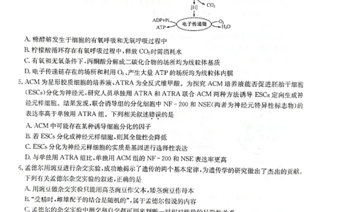 2024届河南省九师联盟10月联考高三生物试卷(1)_2023年10月_0210月合集_2024届九师联盟高三上学期10月质量检测（L）_九师联盟2024届高三上学期10月质量检测（L）生物