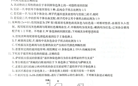 2024届河南省九师联盟10月联考高三生物试卷(1)_2023年10月_0210月合集_2024届九师联盟高三上学期10月质量检测（L）_九师联盟2024届高三上学期10月质量检测（L）生物