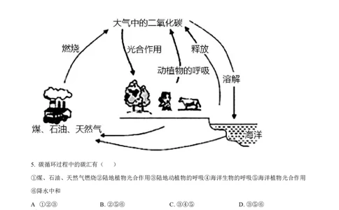 广西南宁市武鸣高级中学2023-2024学年高三上学期开学考试地理(1)_2023年8月_028月合集_2024届广西南宁市武鸣高级中学高三上学期开学考试
