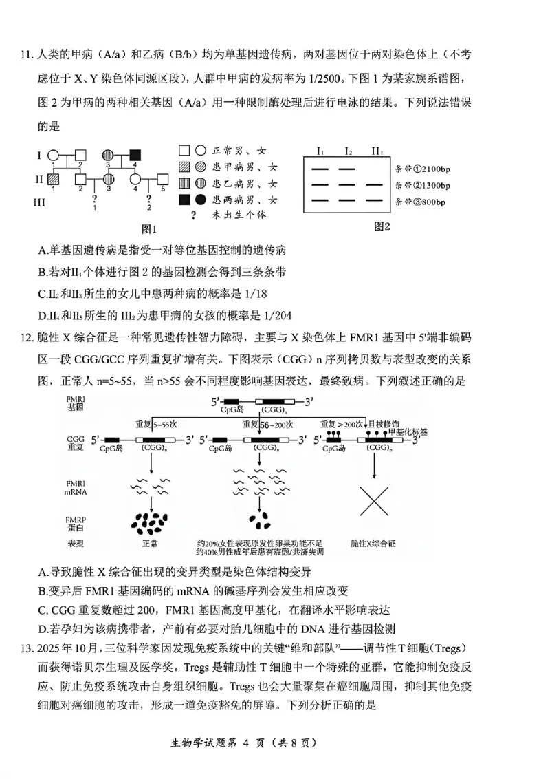 生物试卷-四川省&ldquo;元三维大联考&rdquo;2023级高三第二次诊断考试(1)_2026年1月_260124（绵阳二诊B）四川省&ldquo;元三维大联考&rdquo;2023级高三第二次诊断考试（全科）