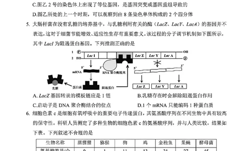 生物试卷-四川省&ldquo;元三维大联考&rdquo;2023级高三第二次诊断考试(1)_2026年1月_260124（绵阳二诊B）四川省&ldquo;元三维大联考&rdquo;2023级高三第二次诊断考试（全科）