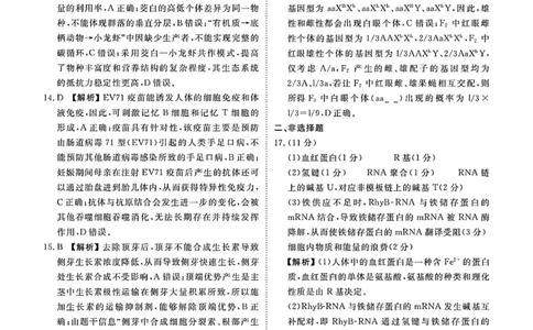 1_1_2024广东高三2月大联考生物试题及参考答案_2024年2月_01每日更新_23号_2024届广东省衡水金卷高三年级2月份大联考_广东省衡水金卷2024届高三年级2月份大联考生物