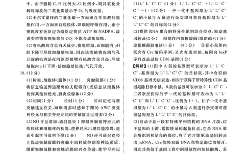 1_1_2024广东高三2月大联考生物试题及参考答案_2024年2月_01每日更新_23号_2024届广东省衡水金卷高三年级2月份大联考_广东省衡水金卷2024届高三年级2月份大联考生物