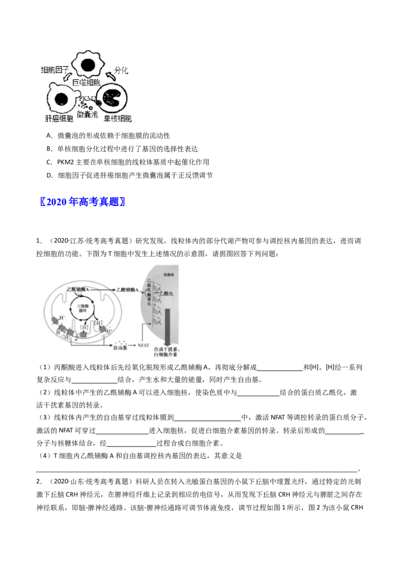 专题20动物生命活动调节的综合（原卷卷）_近10年高考真题汇编（必刷）_十年（2014-2024）高考生物真题分项汇编（全国通用）_十年（2014-2023）高考生物真题分项汇编（全国通用）