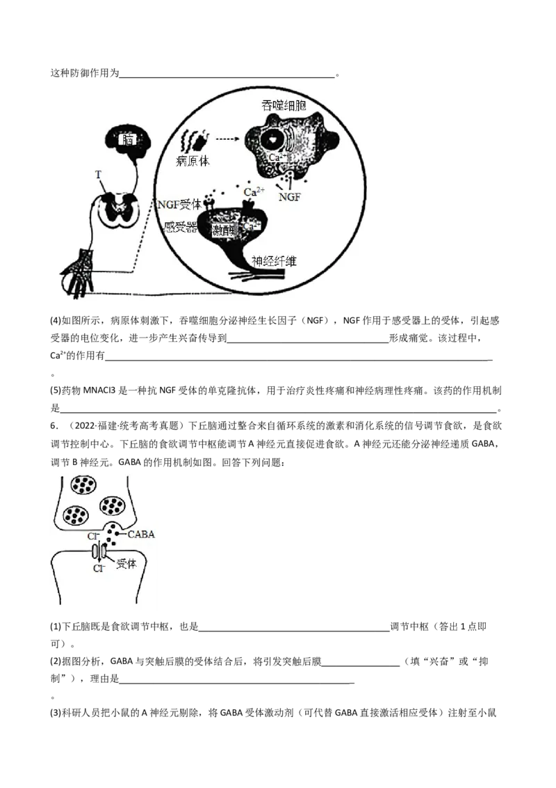 专题20动物生命活动调节的综合（原卷卷）_近10年高考真题汇编（必刷）_十年（2014-2024）高考生物真题分项汇编（全国通用）_十年（2014-2023）高考生物真题分项汇编（全国通用）