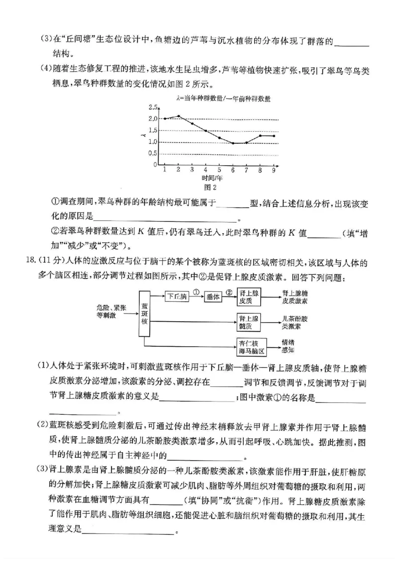 重庆市金太阳好教育联盟2026届高三9月开学联考（26-12C）生物_2025年9月_250914重庆市金太阳好教育联盟2026届高三9月开学联考（26-12C）（全科）