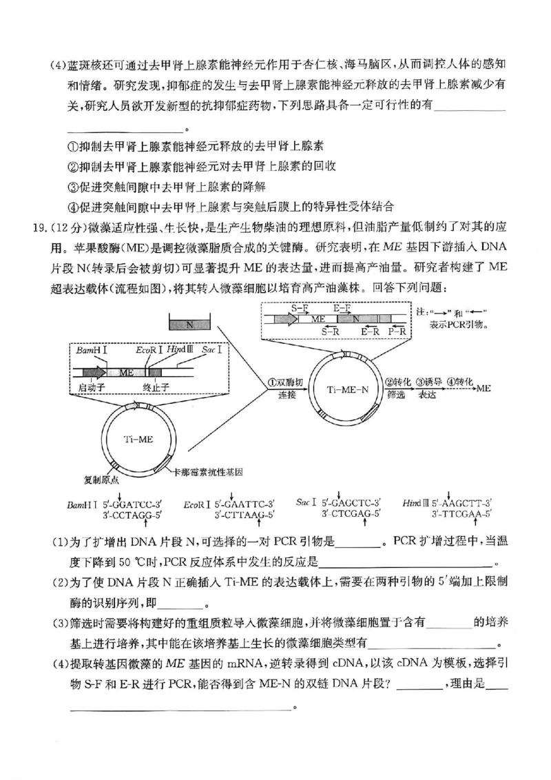 重庆市金太阳好教育联盟2026届高三9月开学联考（26-12C）生物_2025年9月_250914重庆市金太阳好教育联盟2026届高三9月开学联考（26-12C）（全科）