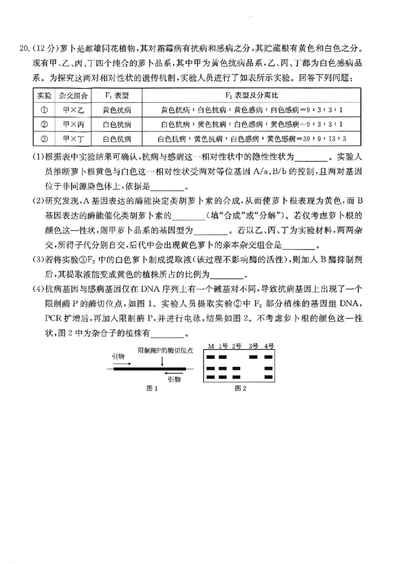重庆市金太阳好教育联盟2026届高三9月开学联考（26-12C）生物_2025年9月_250914重庆市金太阳好教育联盟2026届高三9月开学联考（26-12C）（全科）