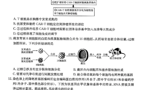 重庆市金太阳好教育联盟2026届高三9月开学联考（26-12C）生物_2025年9月_250914重庆市金太阳好教育联盟2026届高三9月开学联考（26-12C）（全科）