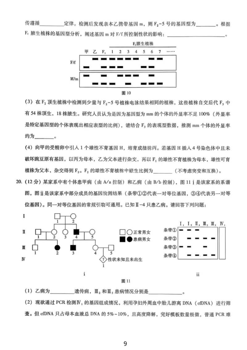生物试卷-重庆巴蜀中学2026届高三1月高考适应性月考卷（六）(1)_2026年1月_2601242026届重庆市巴蜀中学高三1月一模考试（月考卷六）（全科）