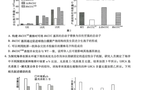 生物试卷-重庆巴蜀中学2026届高三1月高考适应性月考卷（六）(1)_2026年1月_2601242026届重庆市巴蜀中学高三1月一模考试（月考卷六）（全科）