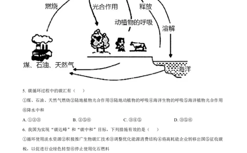 广西南宁市武鸣高级中学2023-2024学年高三上学期开学考试地理答案(1)_2023年8月_028月合集_2024届广西南宁市武鸣高级中学高三上学期开学考试