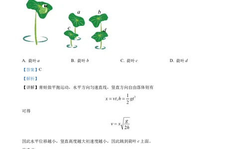 精品解析：2024年高考湖北卷物理真题（解析版）_高考真题全网收集_物理_精品解析：2024年新高考湖北卷物理高考真题解析（参考版）