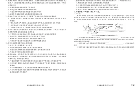 高三生物B版正文（2026届高三年级9月份联考）_2025年9月_250905衡水金卷四省（四川，云南）高三联考9月联考（全科）_生物B版