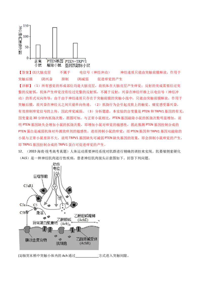 专题17神经调节（解析卷）_近10年高考真题汇编（必刷）_十年（2014-2024）高考生物真题分项汇编（全国通用）_十年（2014-2023）高考生物真题分项汇编（全国通用）