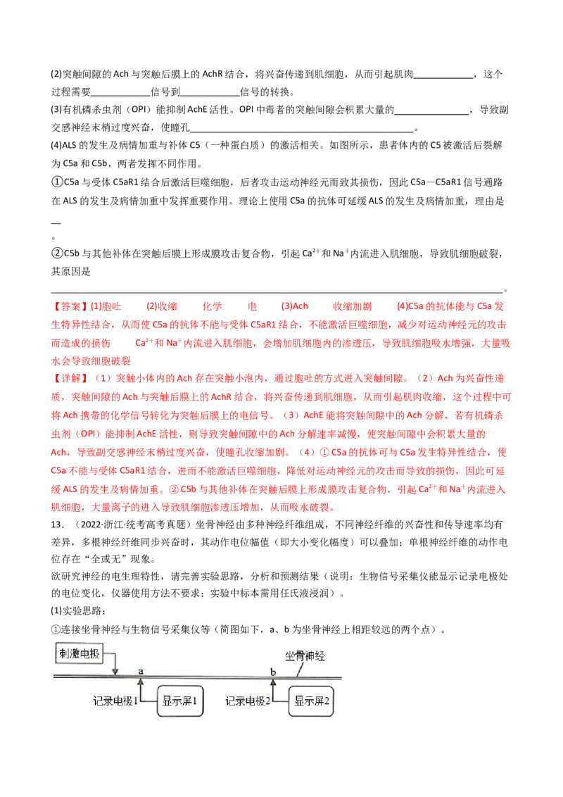 专题17神经调节（解析卷）_近10年高考真题汇编（必刷）_十年（2014-2024）高考生物真题分项汇编（全国通用）_十年（2014-2023）高考生物真题分项汇编（全国通用）