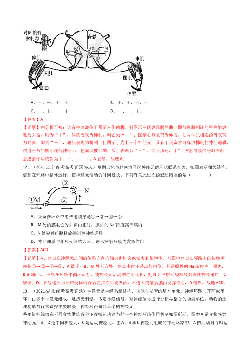 专题17神经调节（解析卷）_近10年高考真题汇编（必刷）_十年（2014-2024）高考生物真题分项汇编（全国通用）_十年（2014-2023）高考生物真题分项汇编（全国通用）