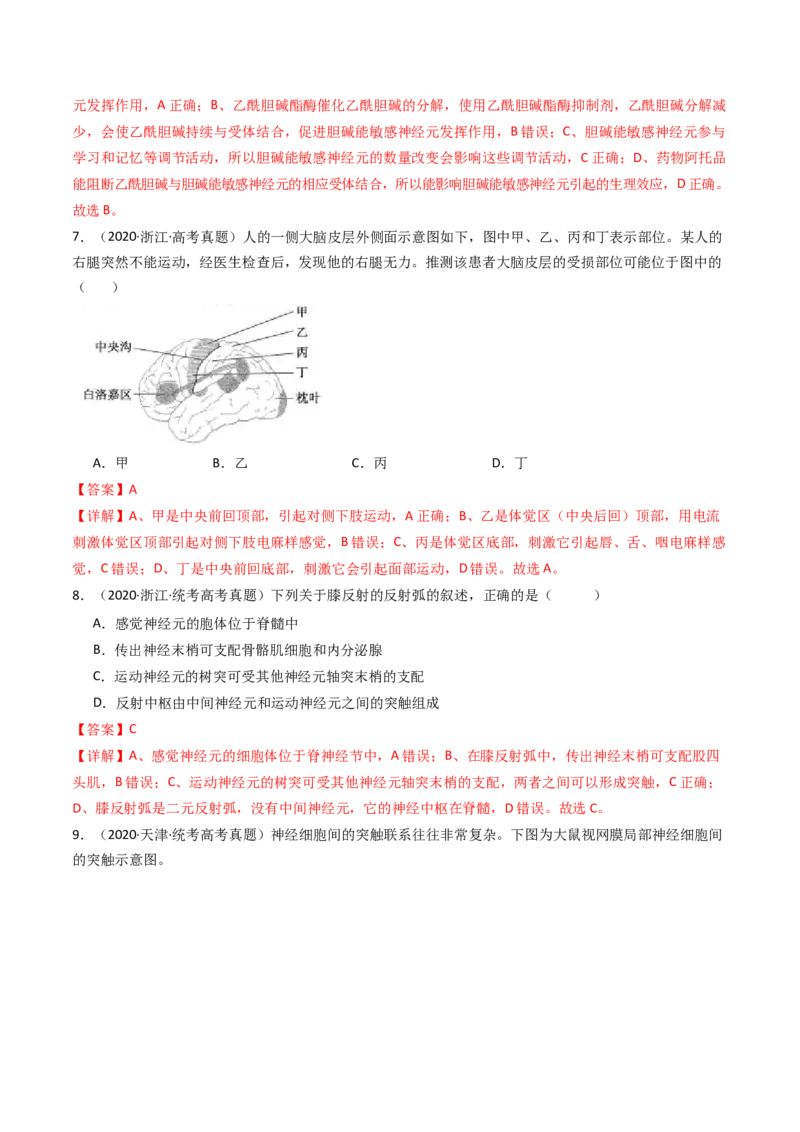 专题17神经调节（解析卷）_近10年高考真题汇编（必刷）_十年（2014-2024）高考生物真题分项汇编（全国通用）_十年（2014-2023）高考生物真题分项汇编（全国通用）