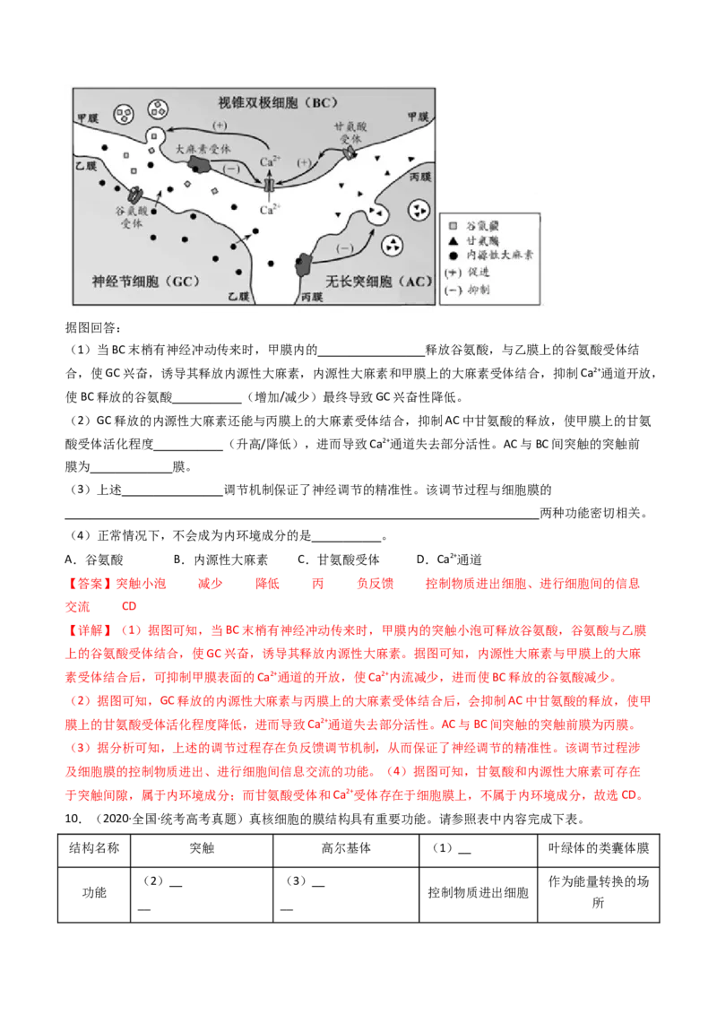 专题17神经调节（解析卷）_近10年高考真题汇编（必刷）_十年（2014-2024）高考生物真题分项汇编（全国通用）_十年（2014-2023）高考生物真题分项汇编（全国通用）